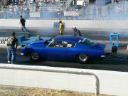 Blue Outlaw Mustang